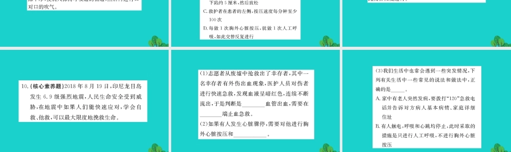 八年级生物下册 8.2 用药和急救习题课件(新版)新人教版 课件