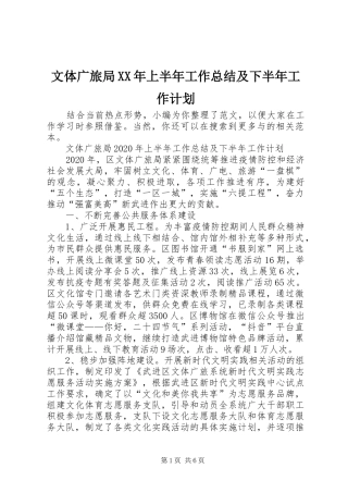 文体广旅局XX年上半年工作总结及下半年工作计划