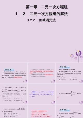 七年级数学下册 第1章(二元一次方程组)1.2 二元一次方程组的解法 1.2.2 加减消元法习题课件 (新版)湘教版 课件