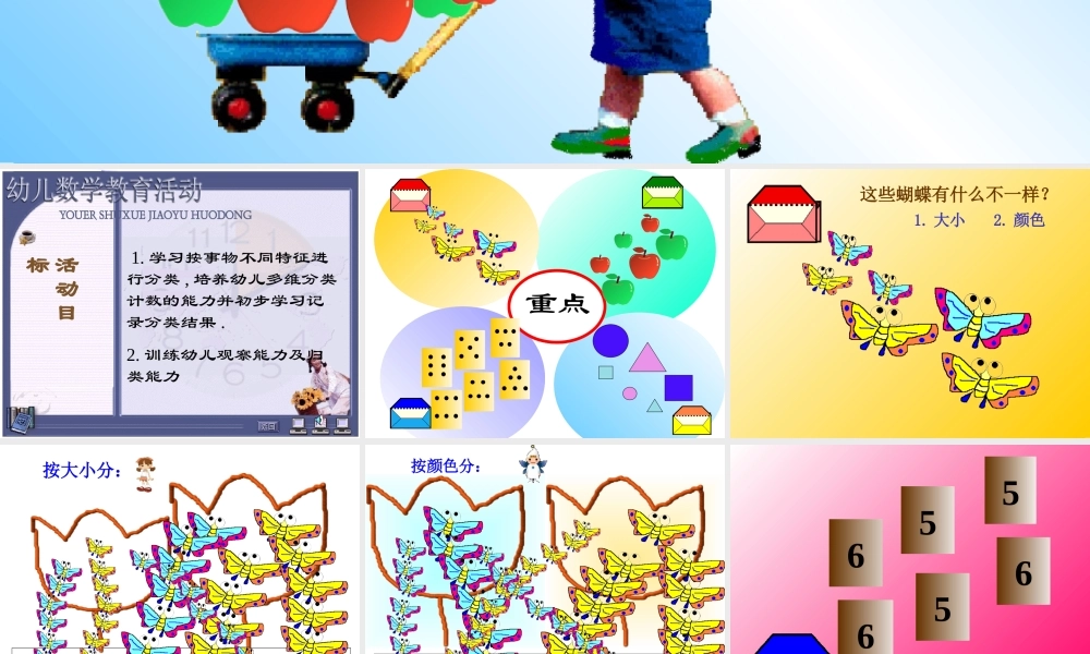 《数学分类》中班算术