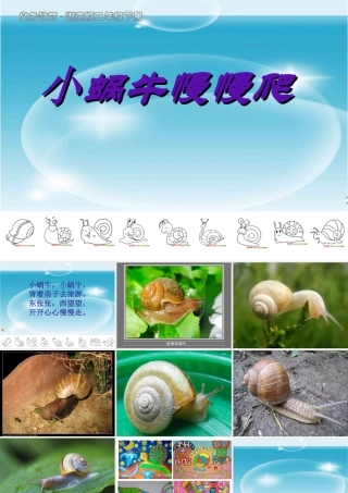小蜗牛慢慢爬