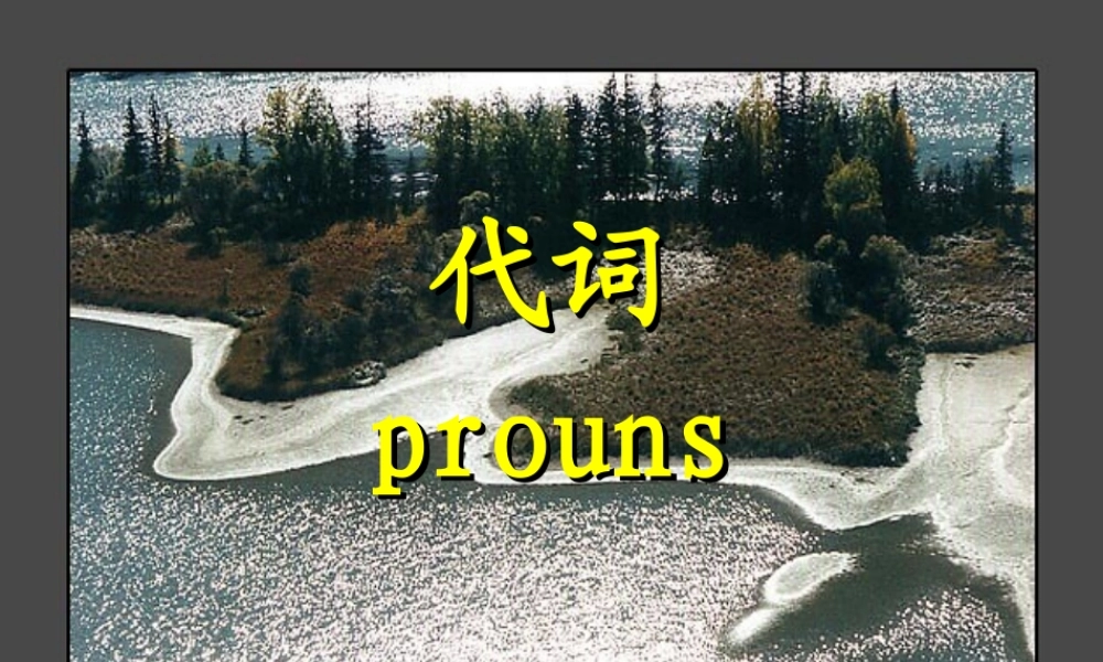 初中英语语法专题 代词 新课标 人教版 课件