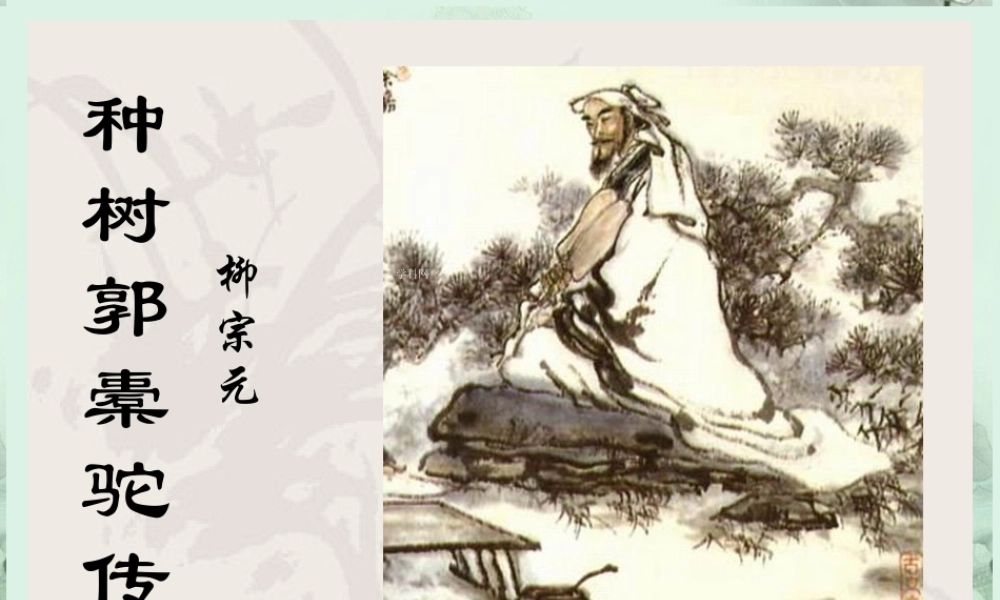 山东省沂水一中高二语文(种树郭橐驼传(1))课件 新人教版 课件