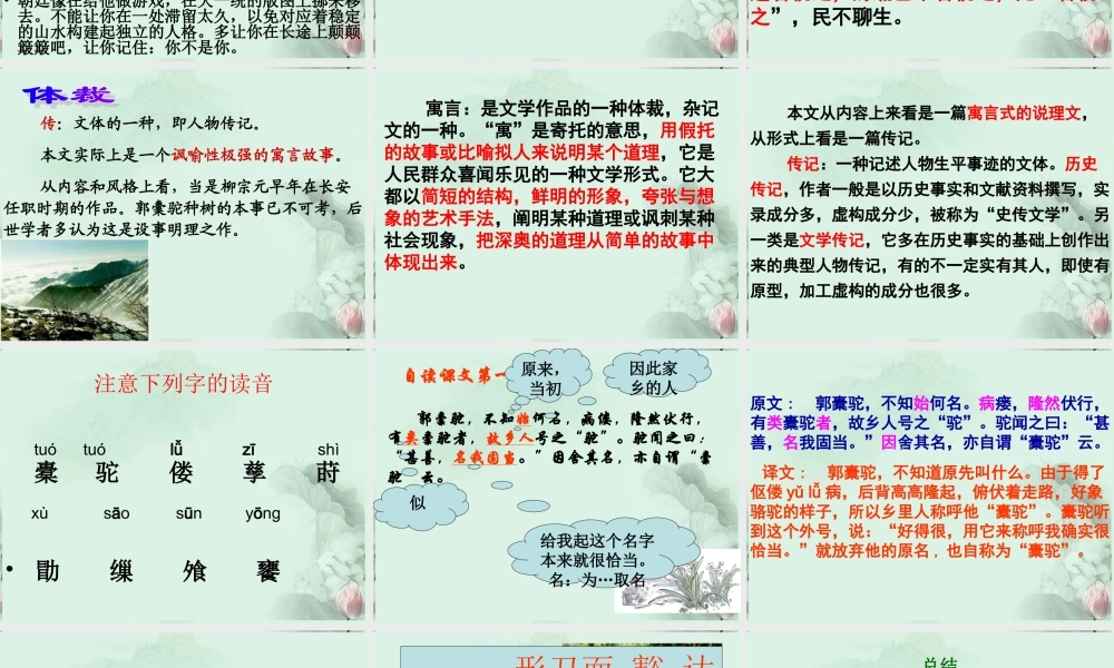 山东省沂水一中高二语文(种树郭橐驼传(1))课件 新人教版 课件