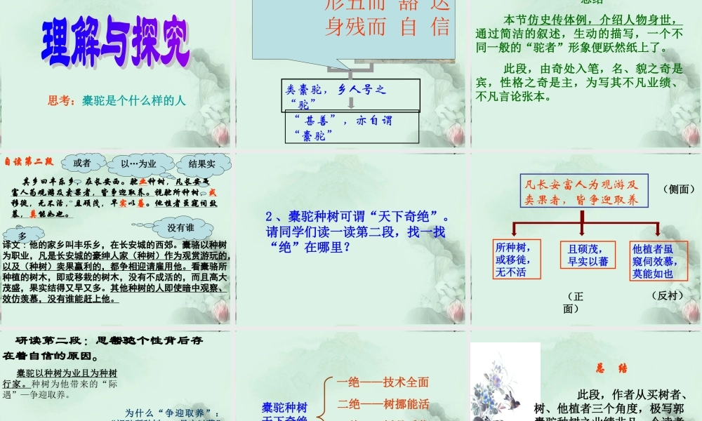 山东省沂水一中高二语文(种树郭橐驼传(1))课件 新人教版 课件