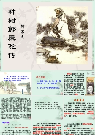 山东省沂水一中高二语文(种树郭橐驼传(1))课件 新人教版 课件