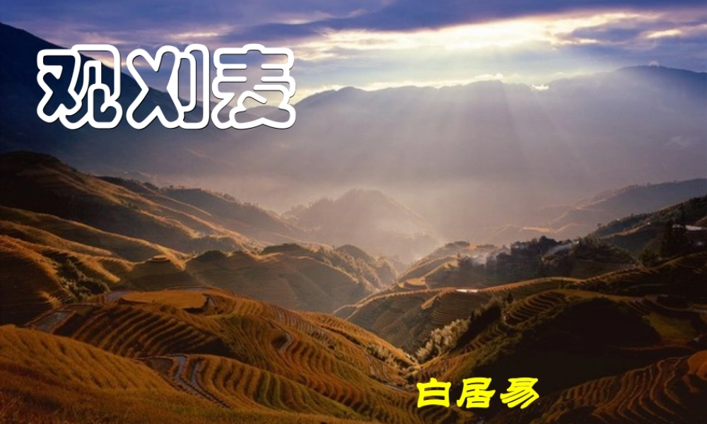 七年级语文下册(观刈麦)课件 苏教版 课件