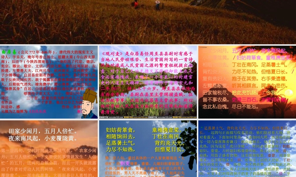 七年级语文下册(观刈麦)课件 苏教版 课件