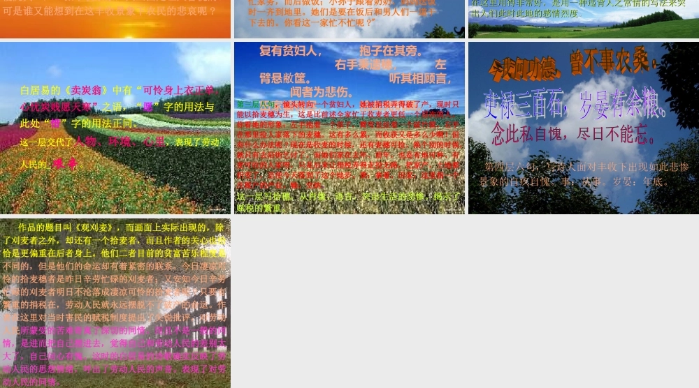 七年级语文下册(观刈麦)课件 苏教版 课件