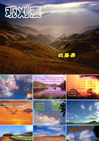 七年级语文下册(观刈麦)课件 苏教版 课件