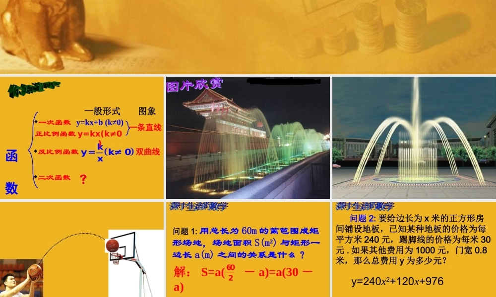 九年级数学下册61(二次函数)课件课件 苏科版 课件
