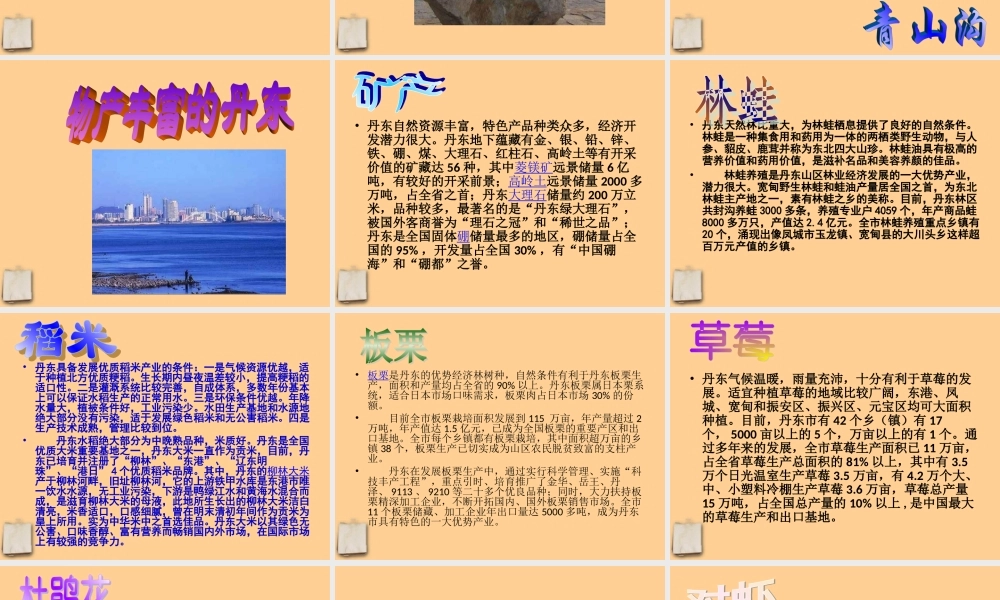 八年级语文下册 综合性学习(到民间采风去)课件 人教新课标版 课件