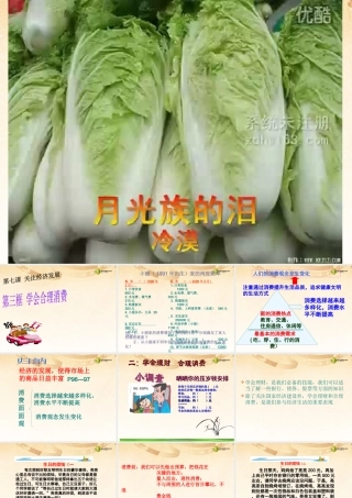 九年级政治全册 第七课第三框学会合理消费课件 新人教版 课件