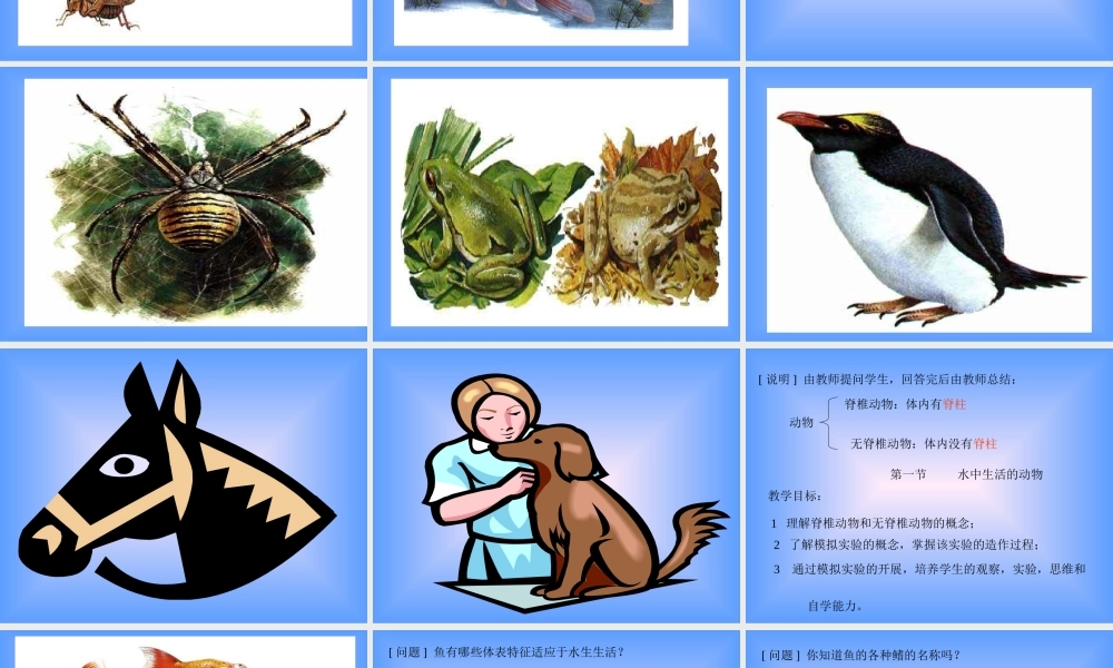 初二生物课件(1)