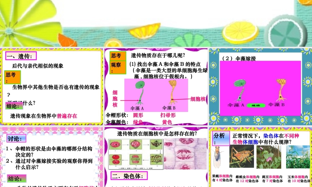 八年级生物上：4.1遗传的物质基础课件济南版 课件