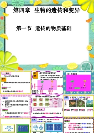 八年级生物上：4.1遗传的物质基础课件济南版 课件