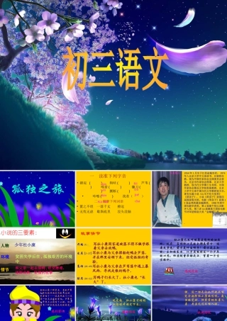 九年级语文孤独之旅课件