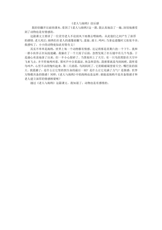 《老人与海鸥》读后感