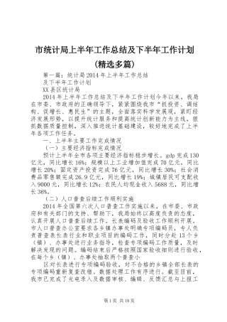 市统计局上半年工作总结及下半年工作计划(精选多篇)
