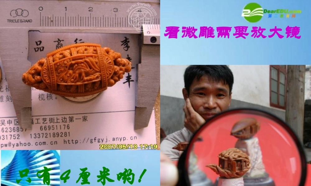 八年级语文下册(核舟记)课件 苏教版 课件