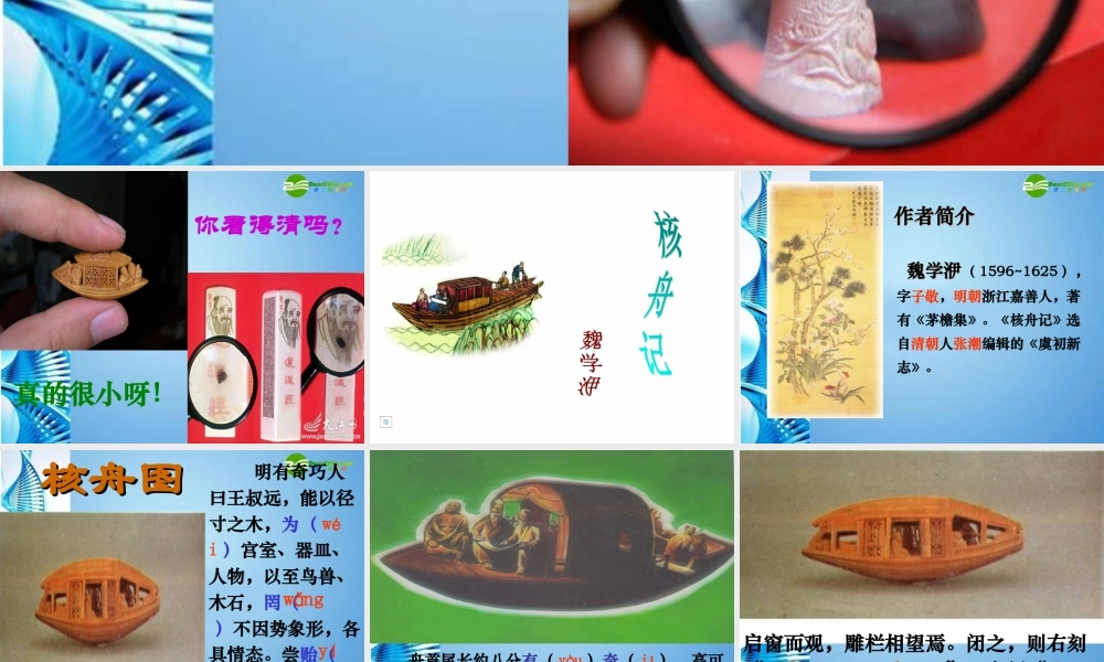 八年级语文下册(核舟记)课件 苏教版 课件