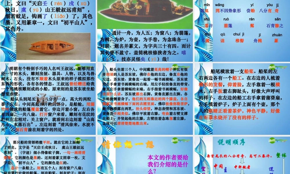 八年级语文下册(核舟记)课件 苏教版 课件