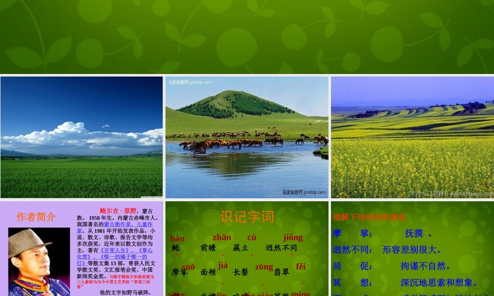 八年级语文上册(10 静默草原)课件 北师大版 课件