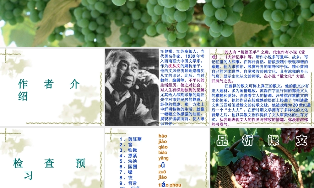 九年级语文葡萄月令1课件