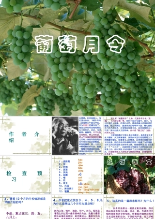 九年级语文葡萄月令1课件