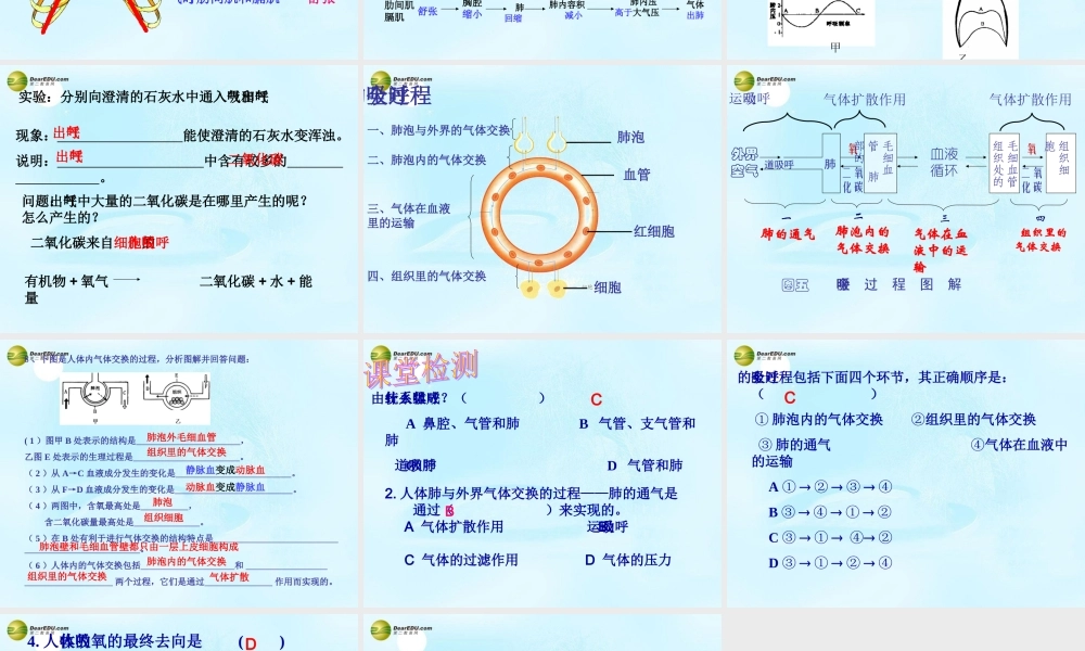 中学七年级生物下册 呼吸系统课件 新人教版 课件