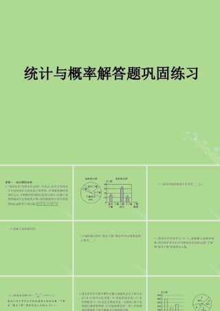 中考数学复习 专题 统计与概率解答题巩固练习课件