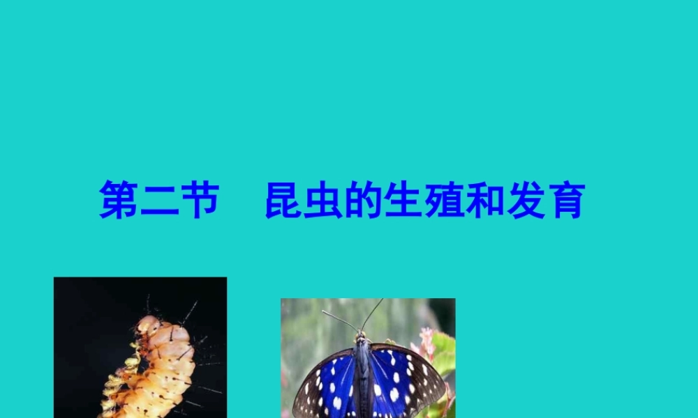 八年级生物下册 7.1.2 昆虫的生殖和发育课件 八年级生物下册 7.1.2 昆虫的生殖和发育课件+素材(新版)新人教版 八年级生物下册 7.1.2 昆虫的生殖和发育课件+素材(新版)新人教版-2