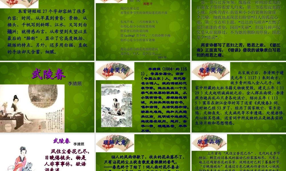 山东省无棣县第一实验学校九年级语文上册 25 词五首课件 新人教版 课件