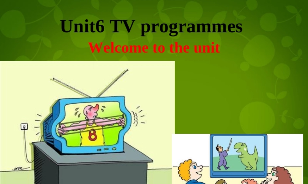 九年级英语上册 Unit 6 TV programmes welcome to the Unit课件 (新版)牛津版 课件