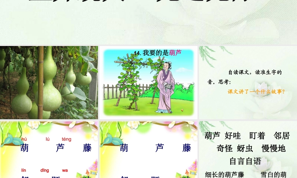 人教版小学语文二年级上册14课《我要的是葫芦》PPT