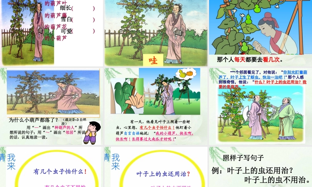 人教版小学语文二年级上册14课《我要的是葫芦》PPT