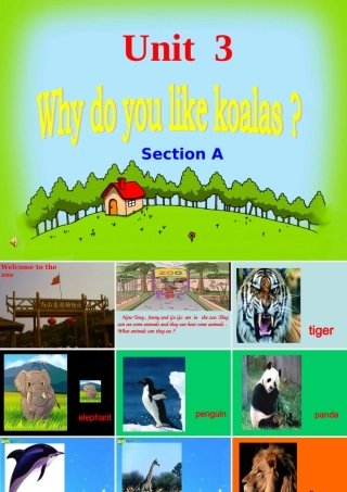 七年级英语下册 UUnit3 Section A课件 人教新目标版 课件