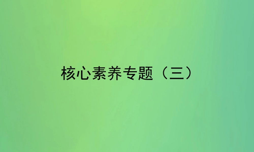 中考数学复习 核心素养专题(三)课件