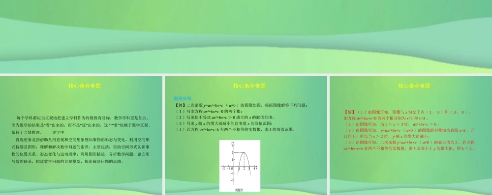 中考数学复习 核心素养专题(三)课件