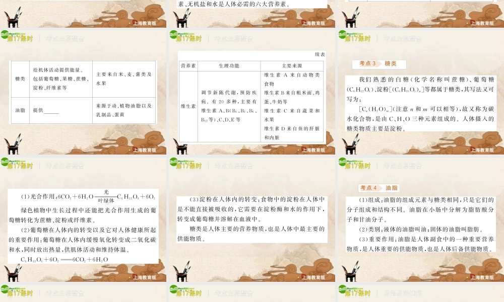 中考化学 食品中的有机化合物复习课件 沪教版 课件