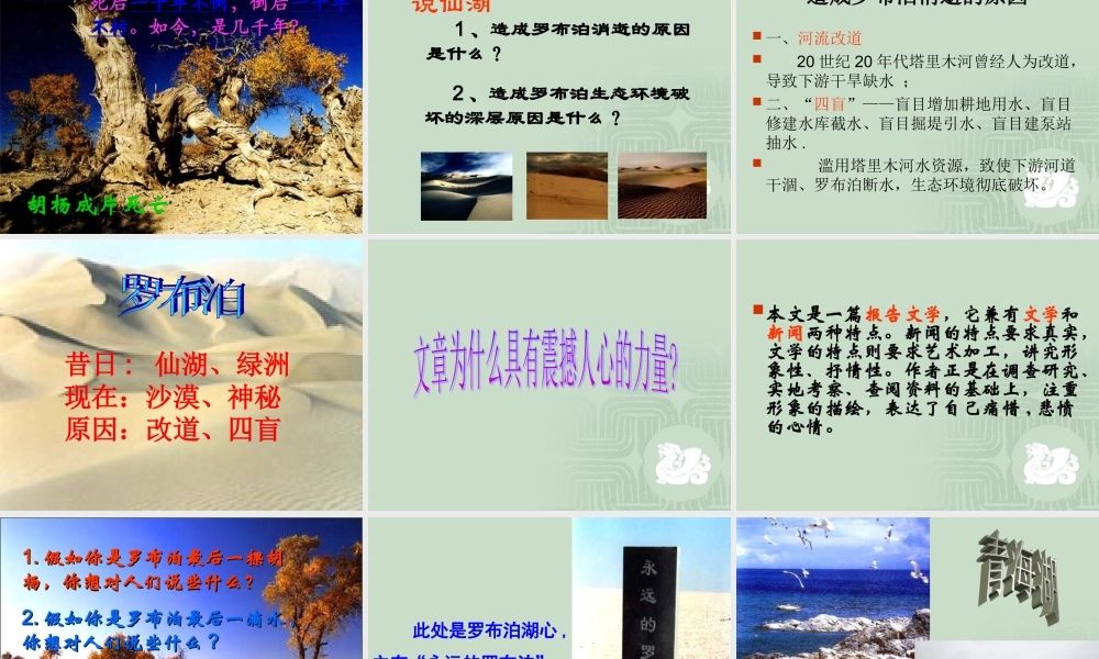 八年级语文下学期罗布泊 消逝的仙湖课件 新课标 人教版 课件