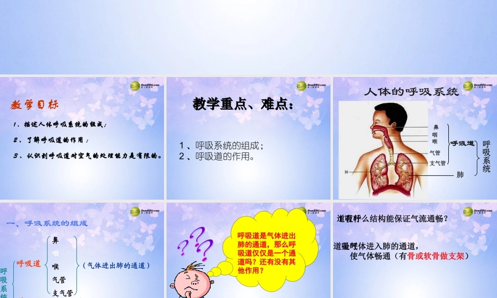 八年级生物上册 第三章 第一节 呼吸道对空气的处理课件 鲁科版 课件