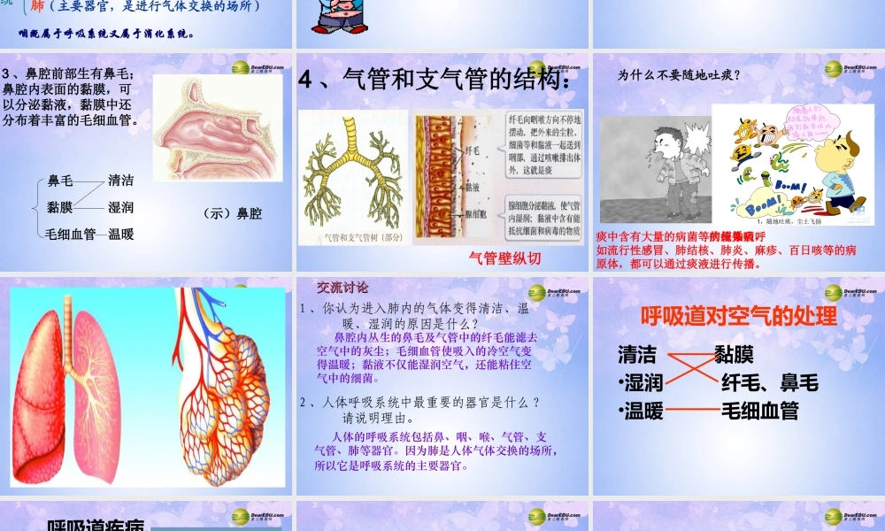 八年级生物上册 第三章 第一节 呼吸道对空气的处理课件 鲁科版 课件