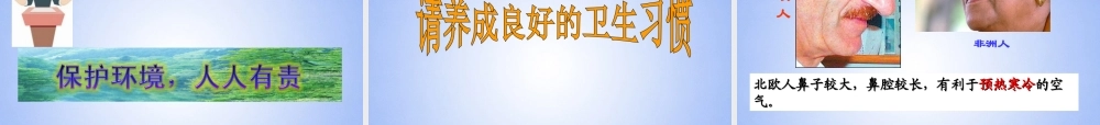 八年级生物上册 第三章 第一节 呼吸道对空气的处理课件 鲁科版 课件