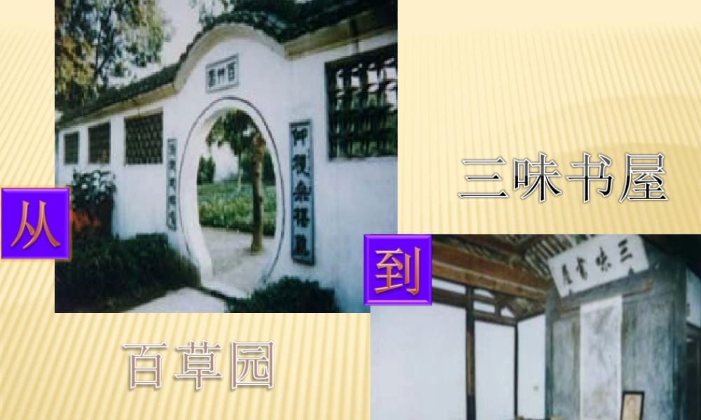 从百草园到三味书屋(精品课件)