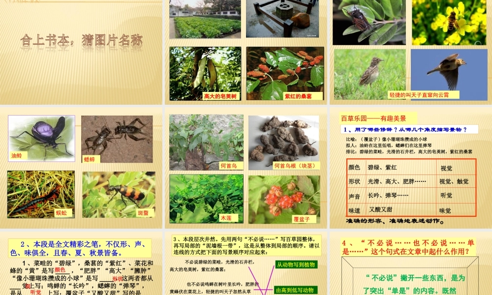 从百草园到三味书屋(精品课件)