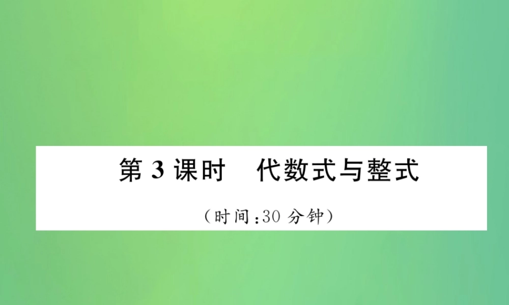 中考数学复习 第1章 数与式 第3课时 代数式与整式(精练)课件
