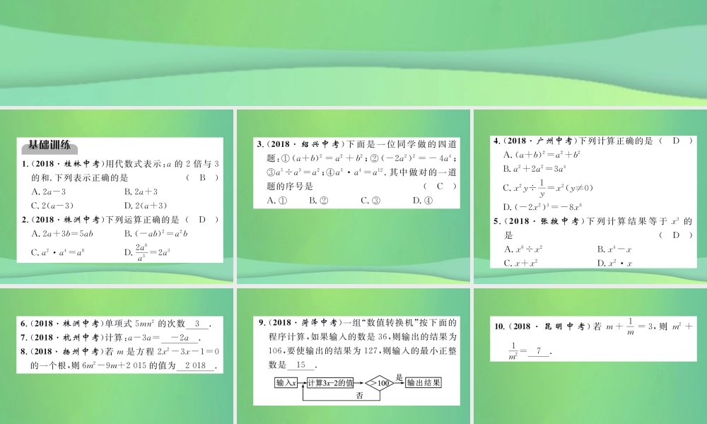 中考数学复习 第1章 数与式 第3课时 代数式与整式(精练)课件