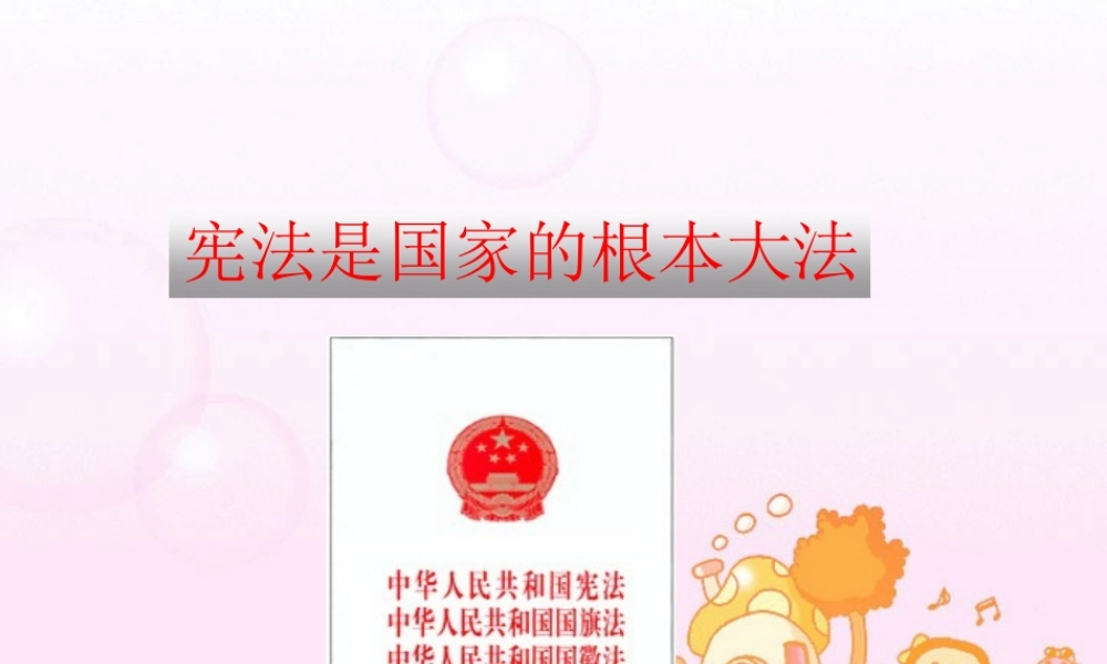 九年级政治]宪法是国家根本大法课件