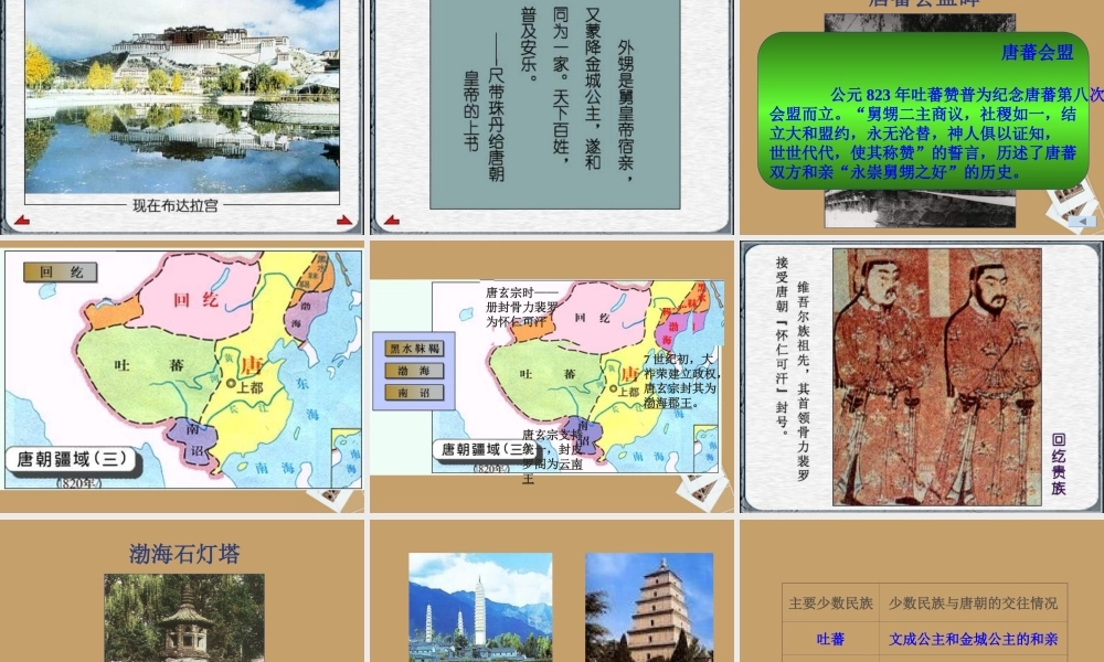 新疆石河子市一中七年级历史下册(第5课 和同为一家)课件 人教版 课件